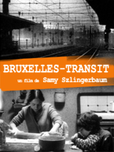 Couverture de Bruxelles-transit