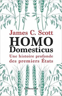 Couverture de Homo domesticus: une histoire profonde des premiers États