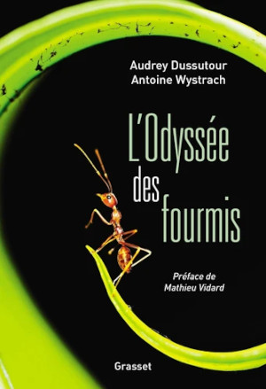 Couverture de L'odyssée des fourmis