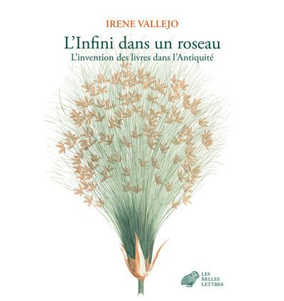 Couverture de L'infini dans un roseau 